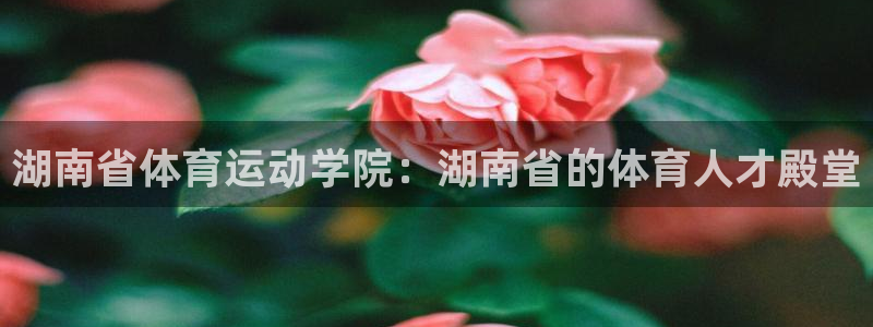 top1体育app下载安装：湖南省体育运动学院：湖南省的体育人才殿堂