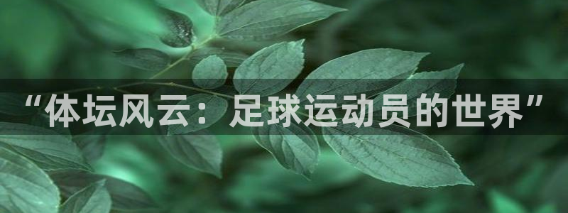 top1体育App注册：“体坛风云：足球运动员的世界”