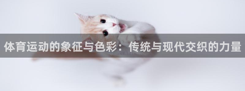 top1体育入口